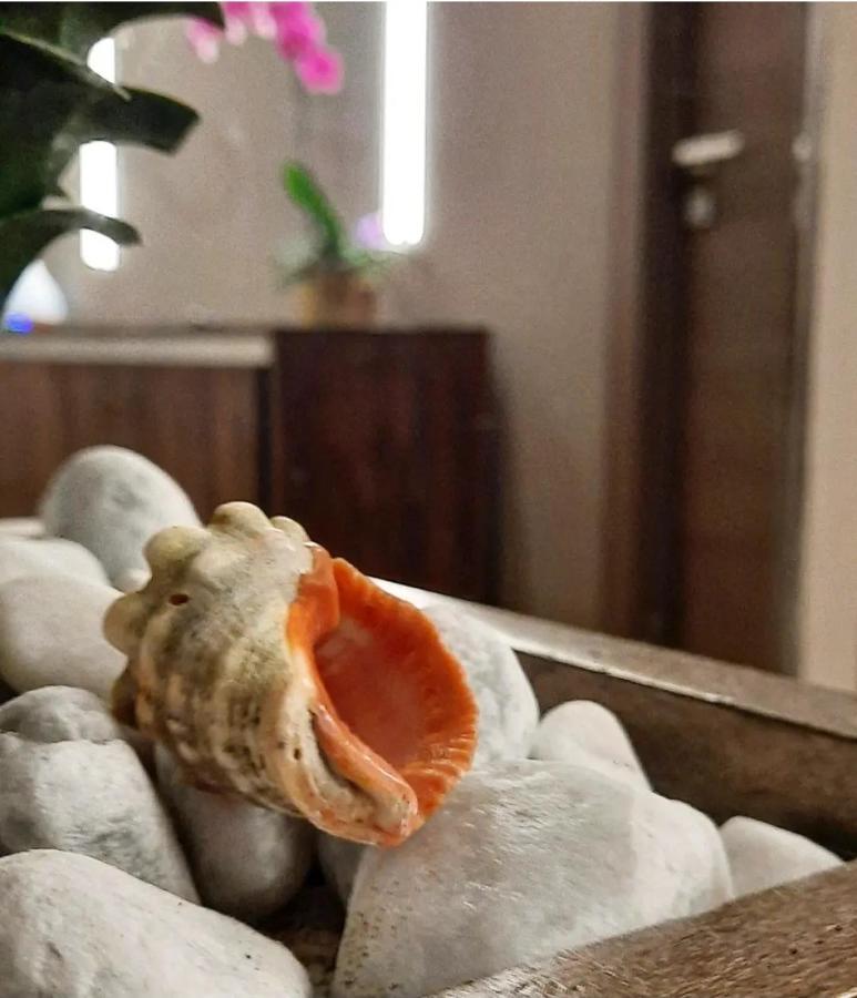 Il Vicolo B&B Giubileo Nettuno Buitenkant foto
